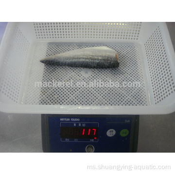Ikan fackerel beku fillet mackerel pacific frozen
